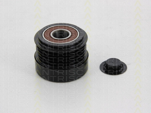 Alternator Freewheel Clutch (8641 244006)