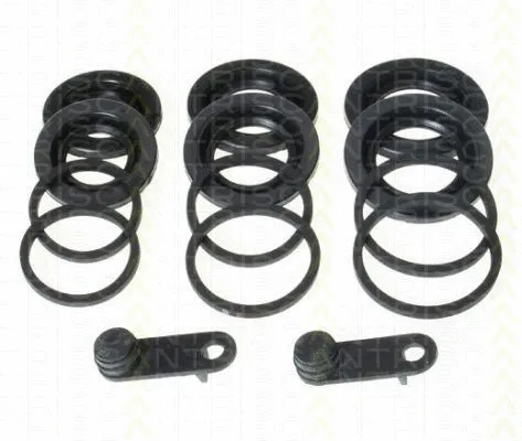 Repair Kit, brake caliper (8170 203022)