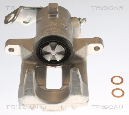 Brake Caliper (8175 29221)