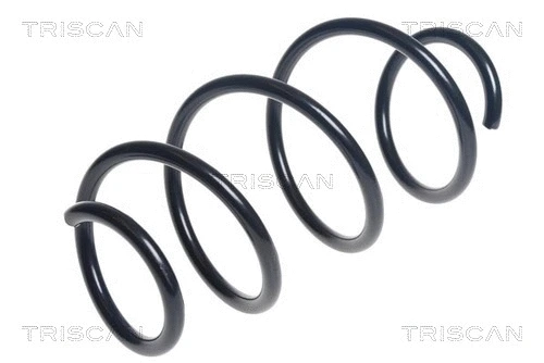 Suspension Spring (8750 25133)