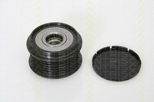 Alternator Freewheel Clutch (8641 104006)