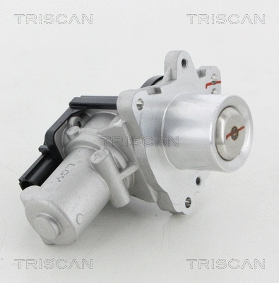 EGR Valve (8813 18045)