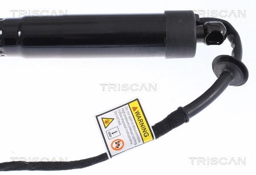 Gas Spring, boot/cargo area