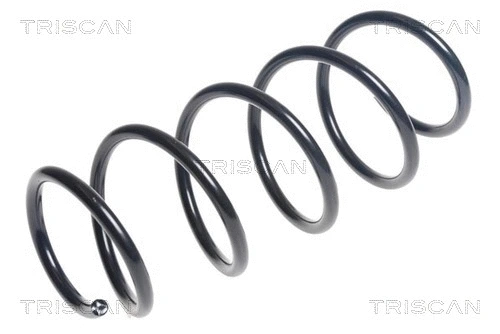 Suspension Spring (8750 15214)