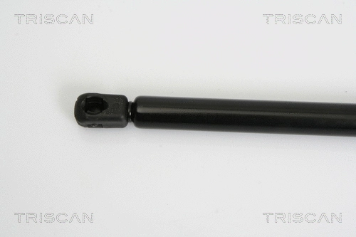 Gas Spring, boot/cargo area