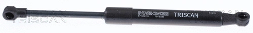 Gas Spring, boot/cargo area (8710 12207)