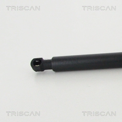 Gas Spring, boot/cargo area