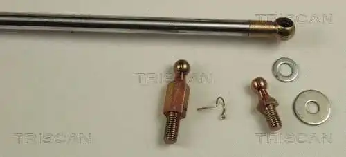 Gas Spring, boot/cargo area