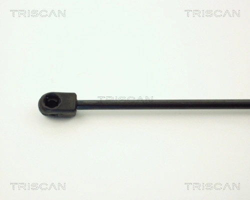 Gas Spring, boot/cargo area