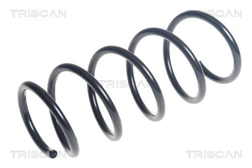 Suspension Spring (8750 15218)