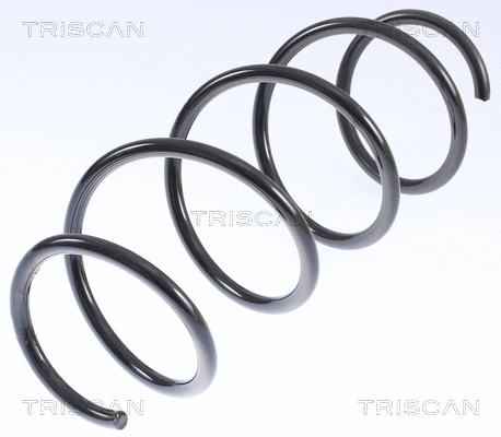 Suspension Spring (8750 23141)