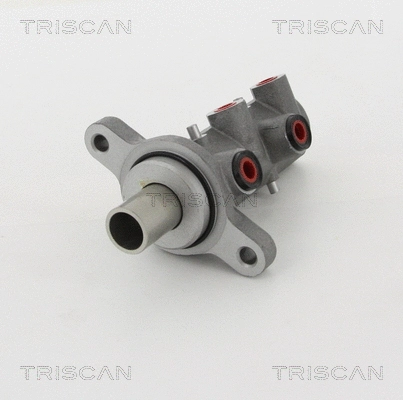 Brake Master Cylinder (8130 10123)