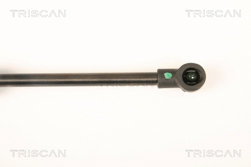 Gas Spring, boot/cargo area