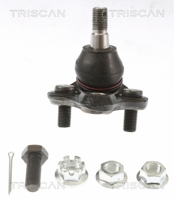 Ball Joint (8500 135064)