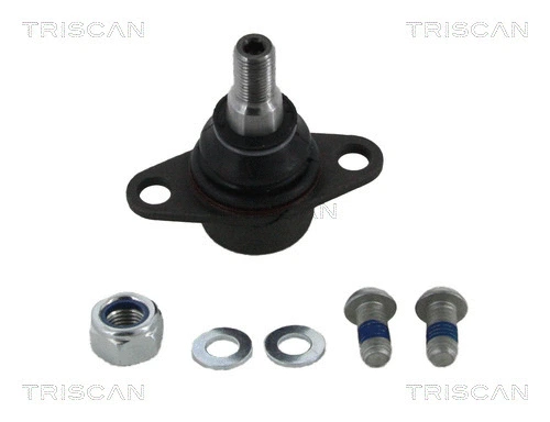 Ball Joint (8500 115049)