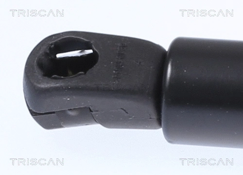 Gas Spring, boot/cargo area