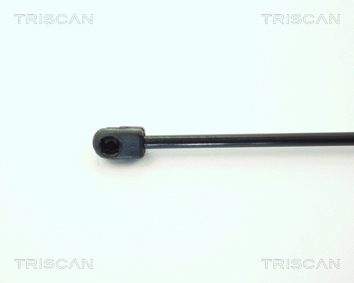 Gas Spring, boot/cargo area