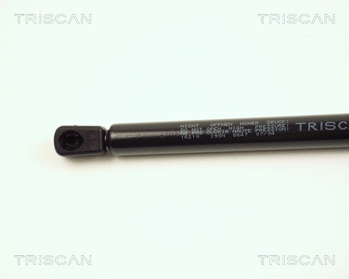 Gas Spring, boot/cargo area