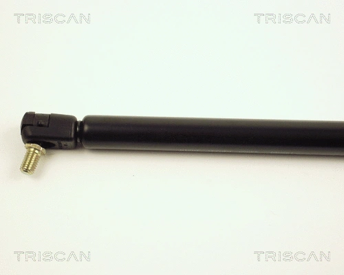 Gas Spring, boot/cargo area
