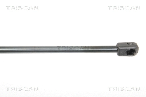 Gas Spring, boot/cargo area (8710 25244)
