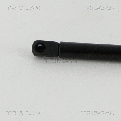 Gas Spring, boot/cargo area