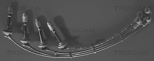 Ignition Cable Kit (8860 6101)