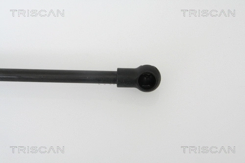 Gas Spring, boot/cargo area