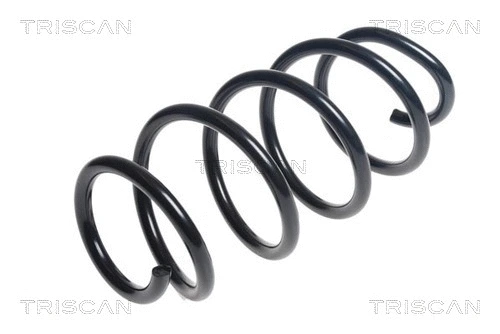Suspension Spring (8750 29420)