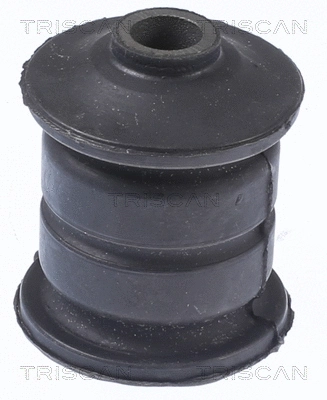 Mounting, control/trailing arm (8500 298067)