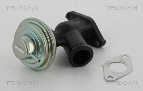 EGR Valve (8813 10011)