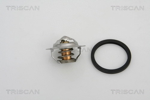 Thermostat, coolant (8620 13888)