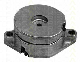 Belt Tensioner, V-ribbed belt (8641 293001)