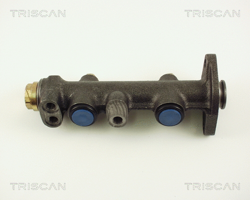 Brake Master Cylinder (8130 15106)