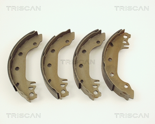 Brake Shoe Set (8100 16291)