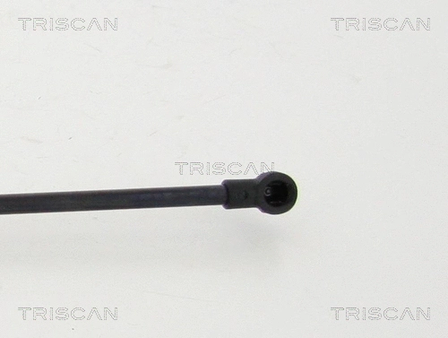 Gas Spring, bonnet