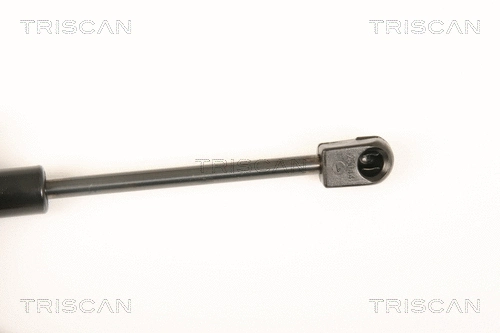 Gas Spring, boot/cargo area