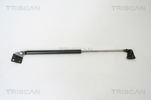 Gas Spring, boot/cargo area (8710 69215)