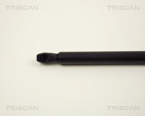 Gas Spring, boot/cargo area