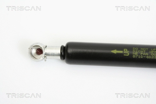 Gas Spring, boot/cargo area