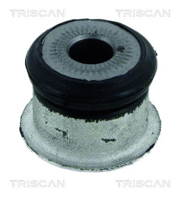Bushing, axle beam (8500 24849)