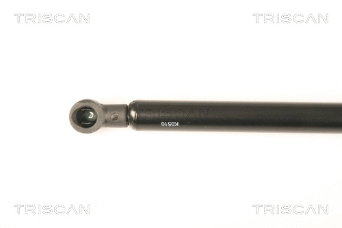 Gas Spring, rear window