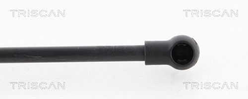 Gas Spring, boot/cargo area