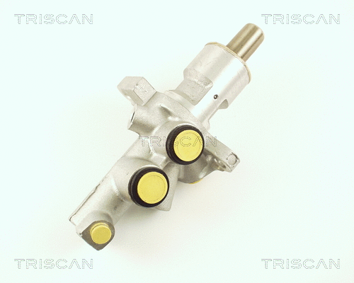 Brake Master Cylinder (8130 23103)