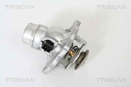 Thermostat, coolant (8620 213105)