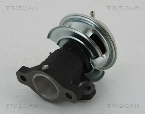 EGR Valve (8813 43201)