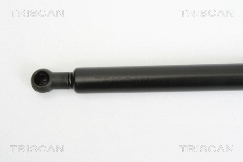 Gas Spring, boot/cargo area