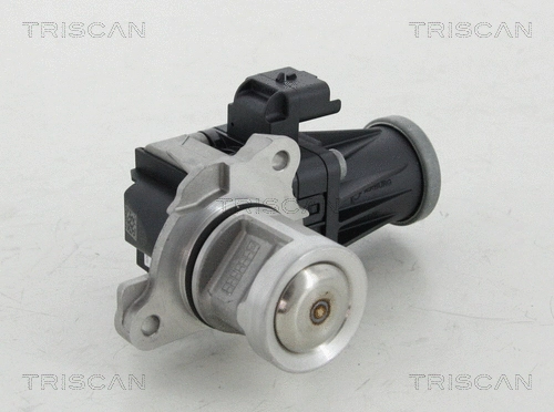 EGR Valve (8813 10016)