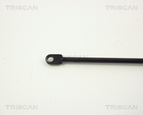 Gas Spring, boot/cargo area
