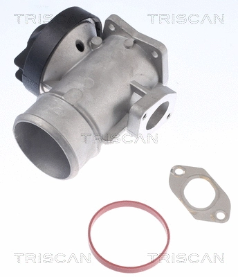 EGR Valve (8813 23203)