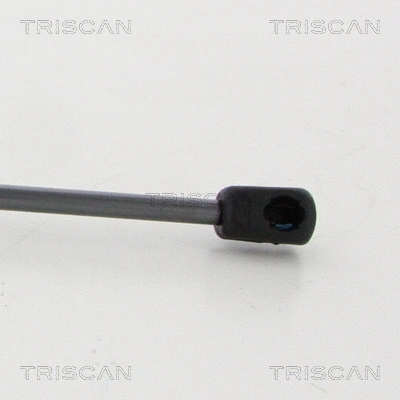 Gas Spring, boot/cargo area